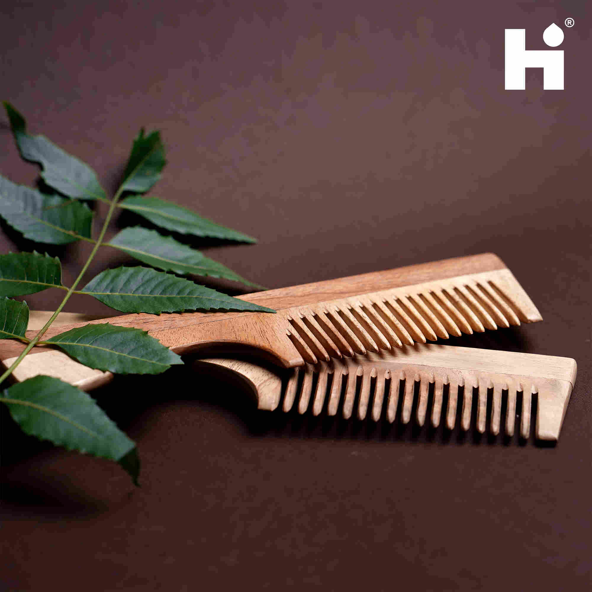 NEEM WOOD COMB WITH HANDLE